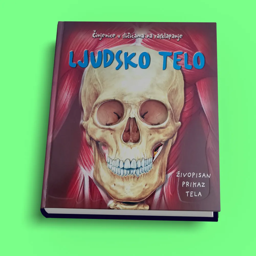Children's book design – Human Body Serbian edition — TAMIGO