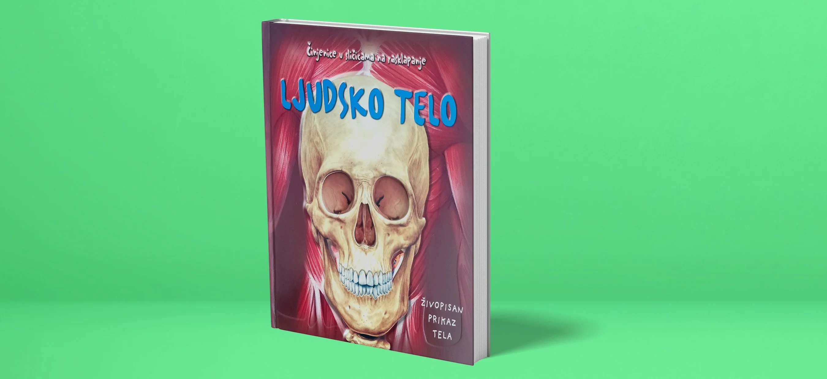 Ljudsko telo - Children's Book